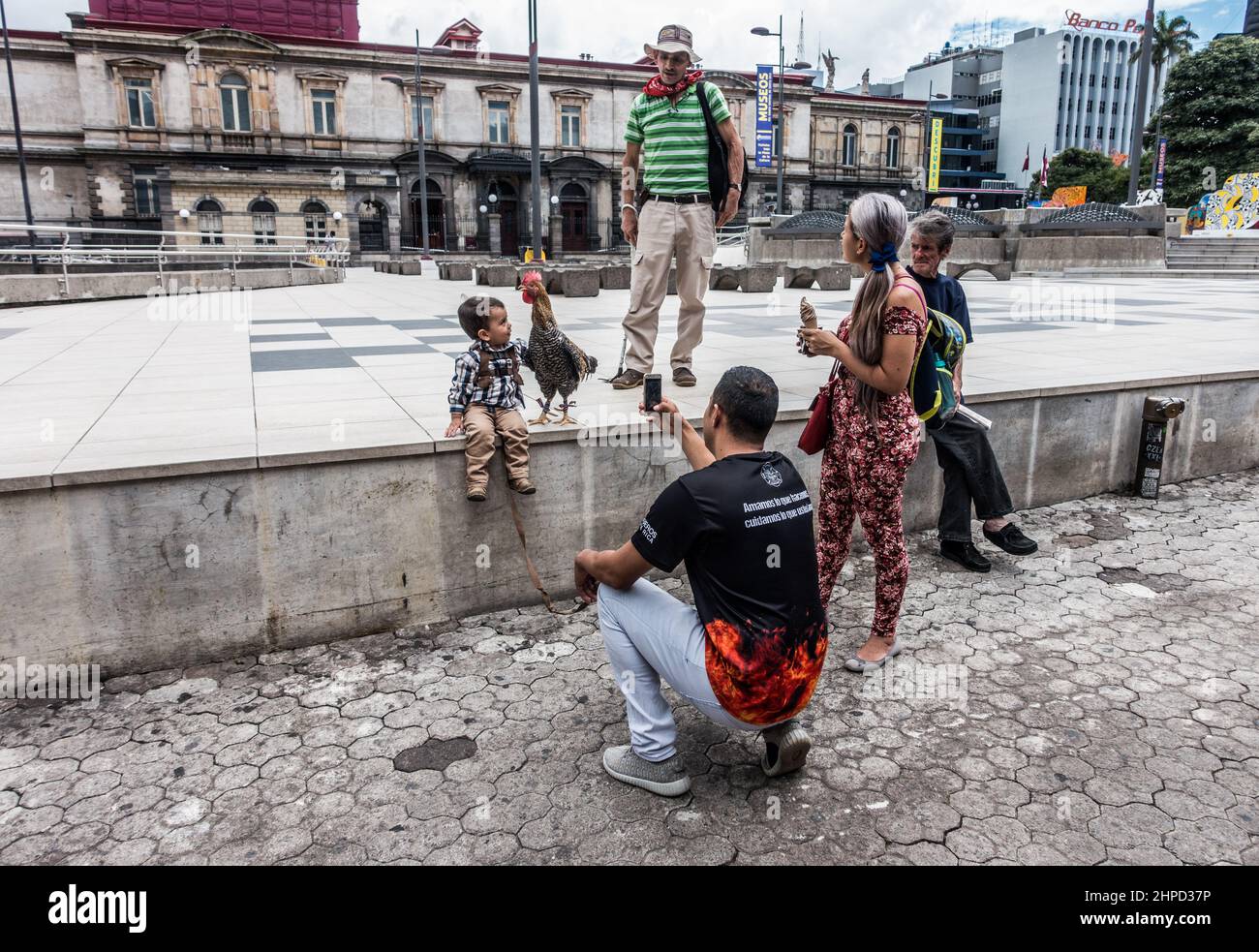 Father photographs his young son who is looking at a tame Rooster in