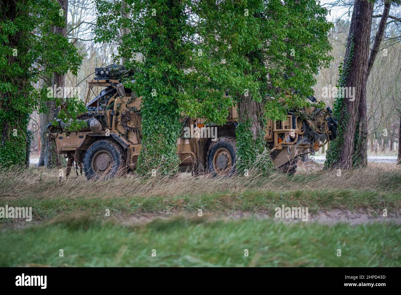 British army Supacat Jackal 4x4 rapid assault, fire support and reconnaissance vehicles on a military battle training exercise, Wiltshire UK Stock Photo