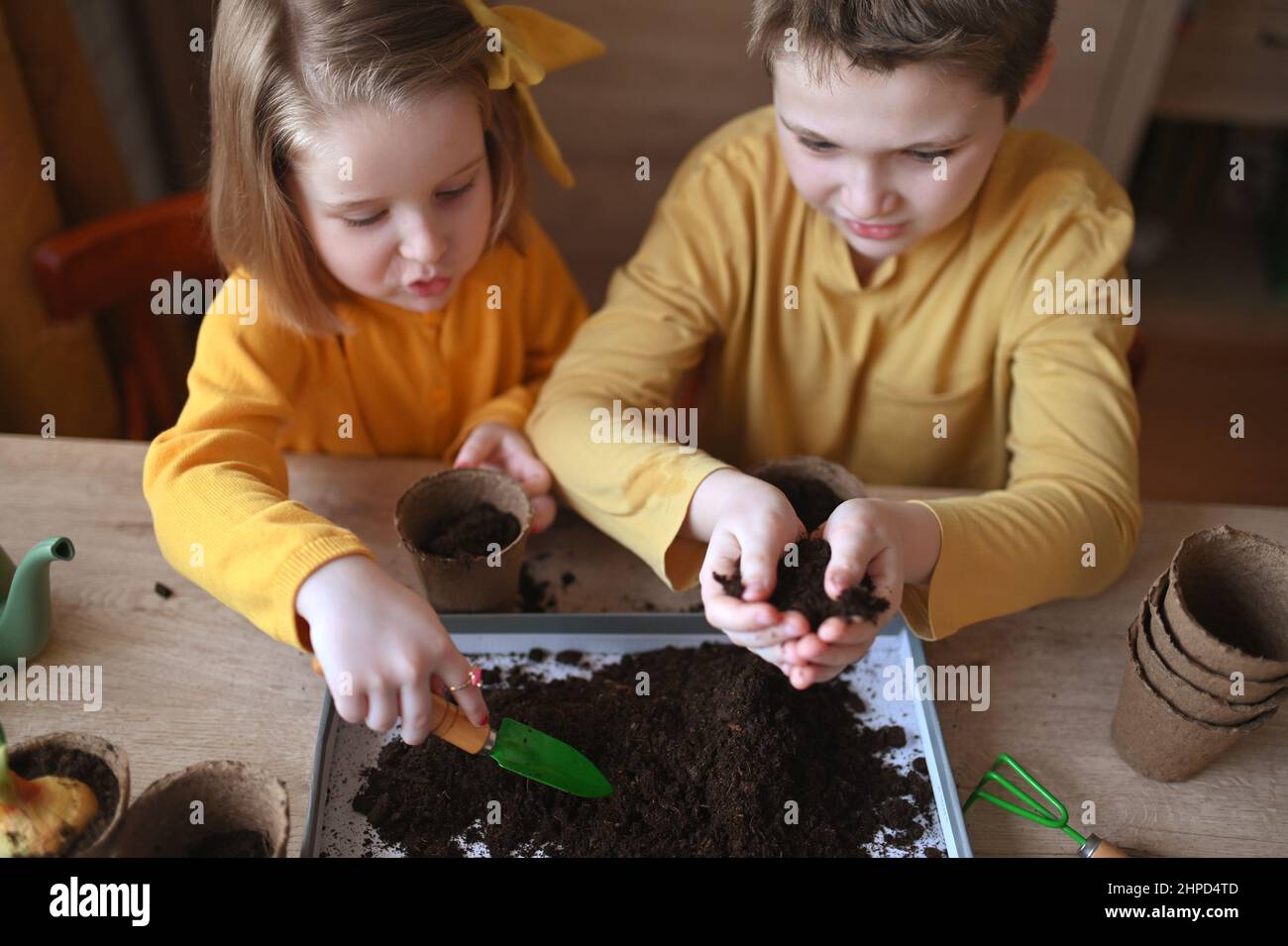 Happy children are planting plants at home. girl and boy sow seeds in natural gardening pots. Stock Photo