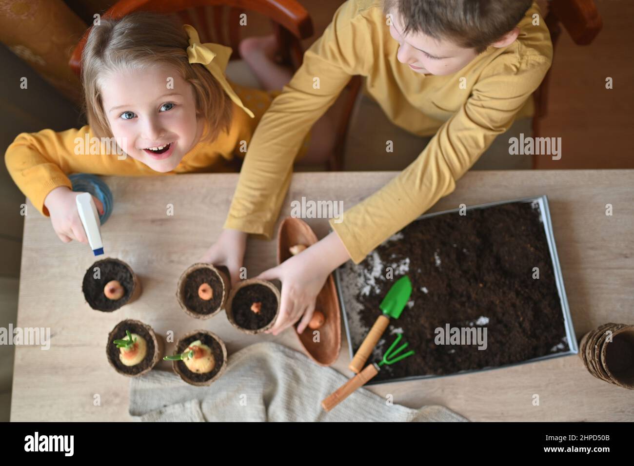 Happy children are planting plants at home. girl and boy sow seeds in natural gardening pots. Stock Photo