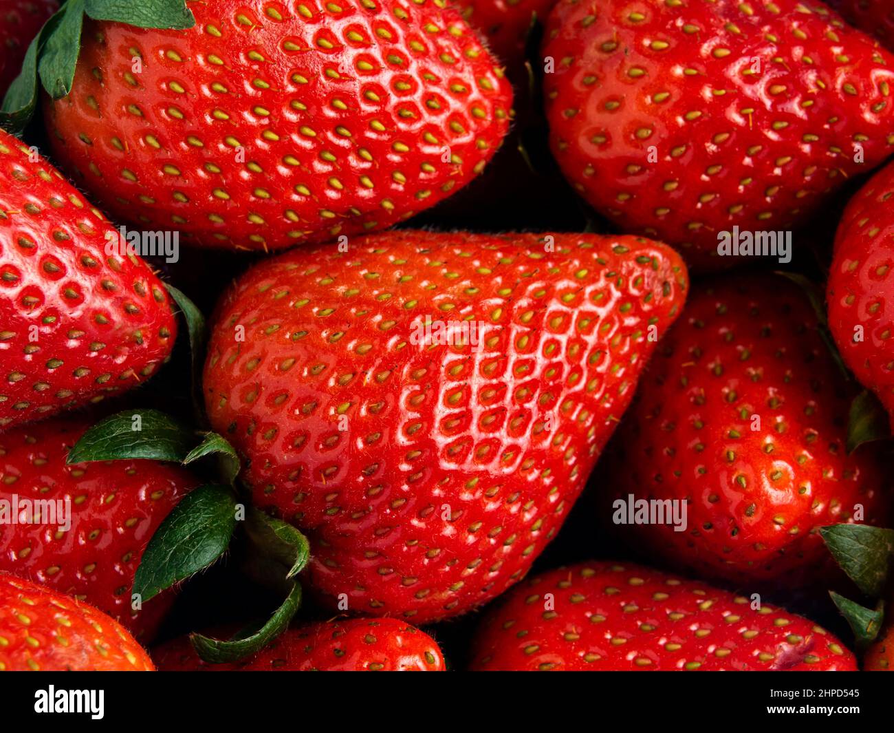 Organic red and very fresh strawberries Stock Photo - Alamy