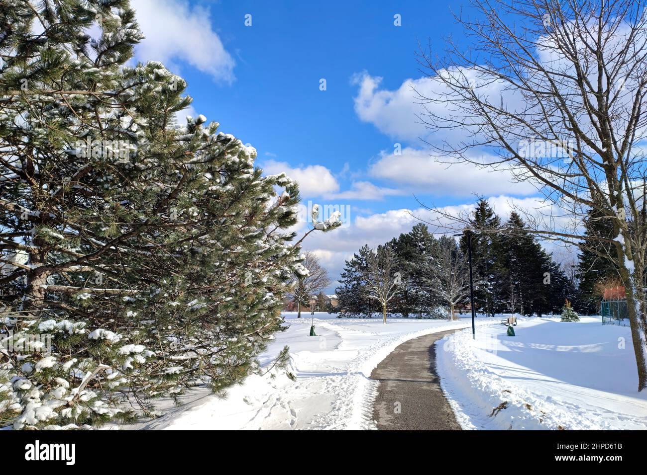 Winter snow creates picturesque scenery on the footpath in the park with deep snow. Stock Photo