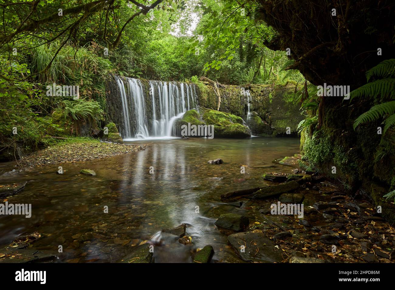 San Pedro de Incio waterfall in a forest in Galicia, Spain Stock Photo