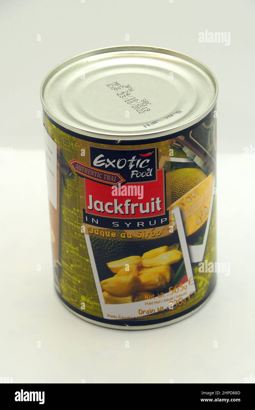 Canned Jackfruit in syrup, jack tree, Jackfruchtbaum, Jackfrucht