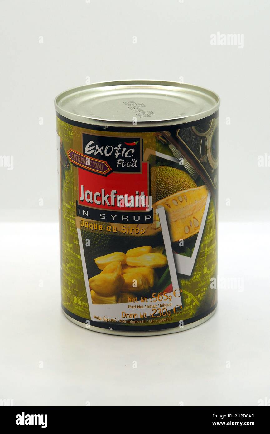 Canned Jackfruit in syrup, jack tree, Jackfruchtbaum, Jackfrucht