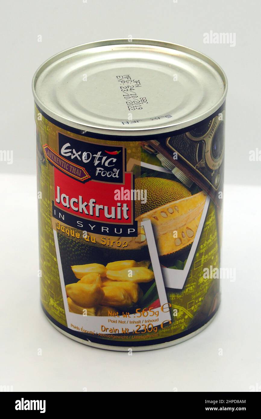 Canned Jackfruit in syrup, jack tree, Jackfruchtbaum, Jackfrucht