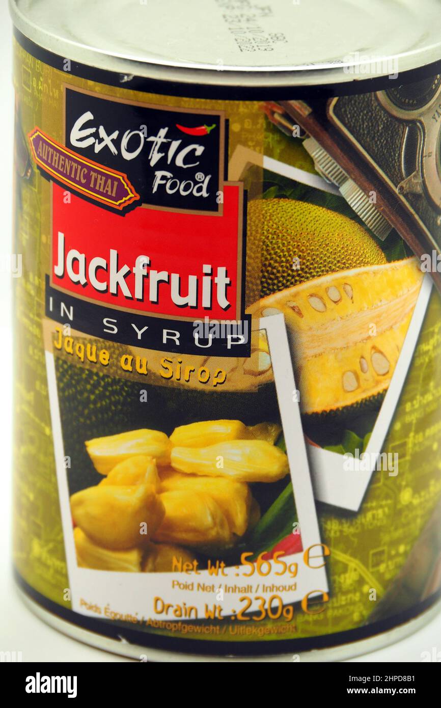 Canned Jackfruit in syrup, jack tree, Jackfruchtbaum, Jackfrucht