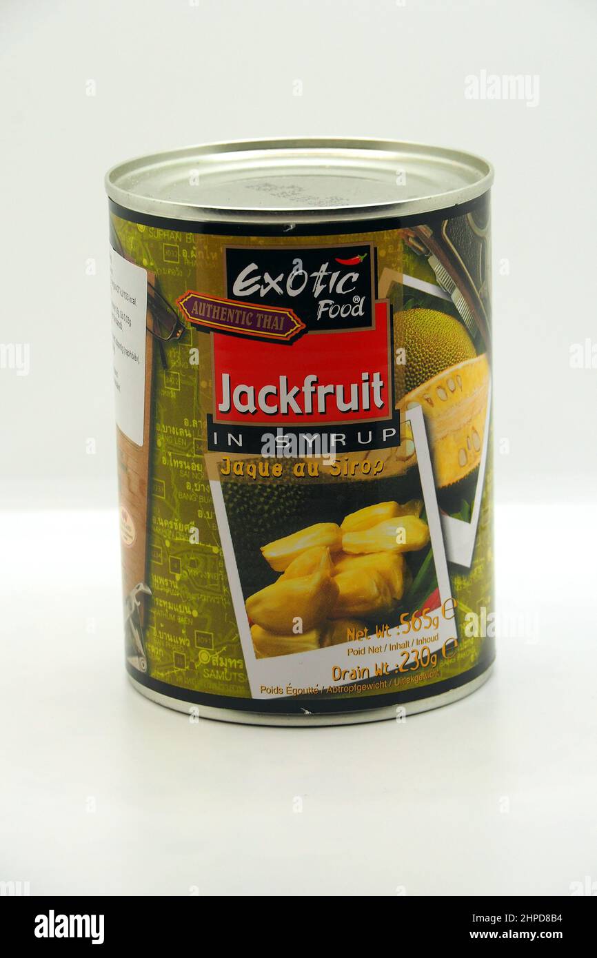 Canned Jackfruit in syrup, jack tree, Jackfruchtbaum, Jackfrucht
