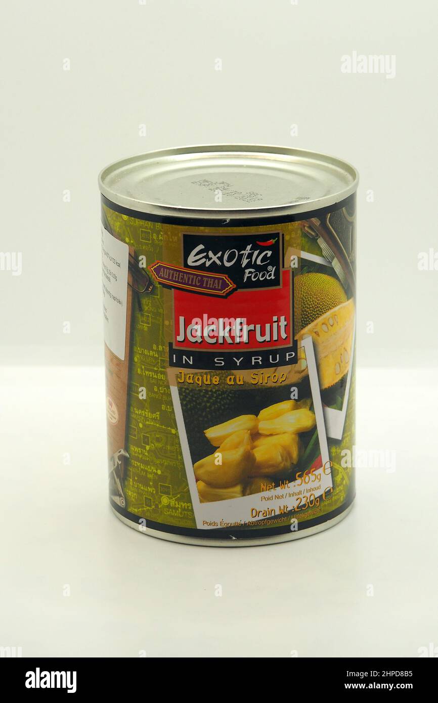 Canned Jackfruit in syrup, jack tree, Jackfruchtbaum, Jackfrucht