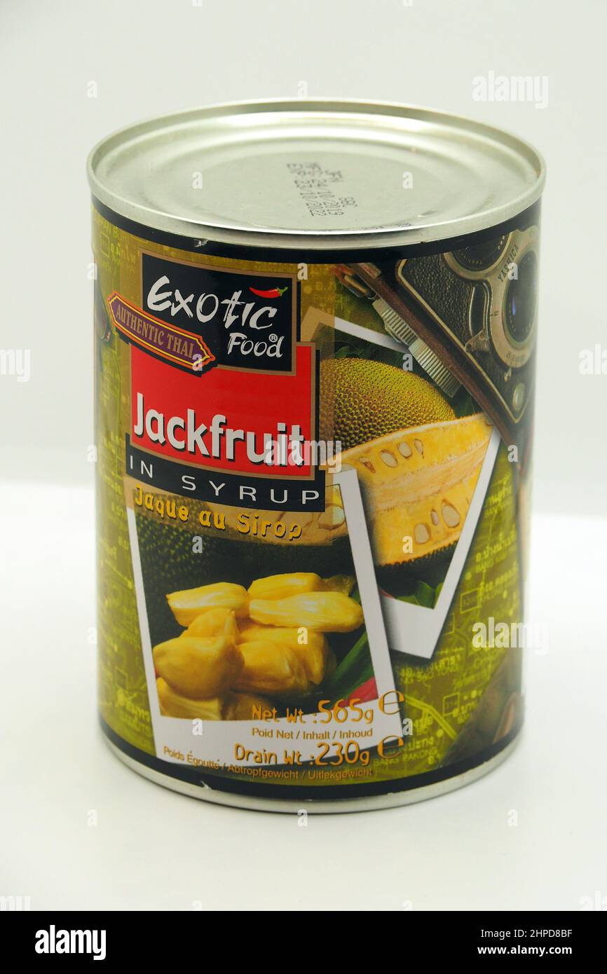 Canned Jackfruit in syrup, jack tree, Jackfruchtbaum, Jackfrucht