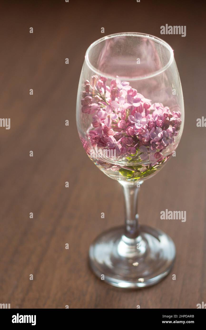 Fiona graham photography hires stock photography and images Alamy