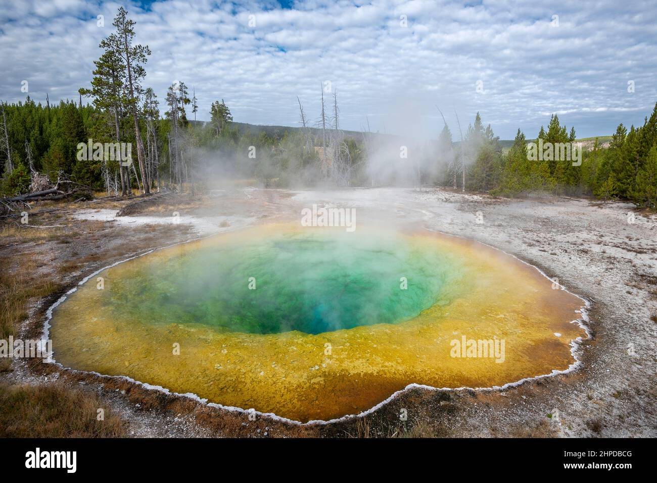 Morning Glory Pool in Yellowstone National Park. Stock Photo