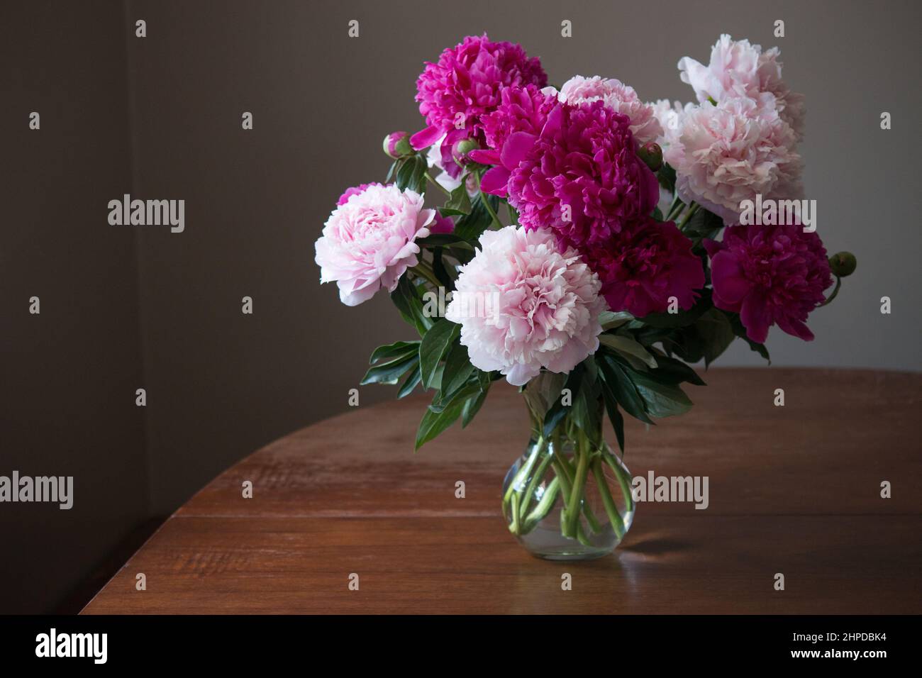 Pink peony bouquet Stock Photo