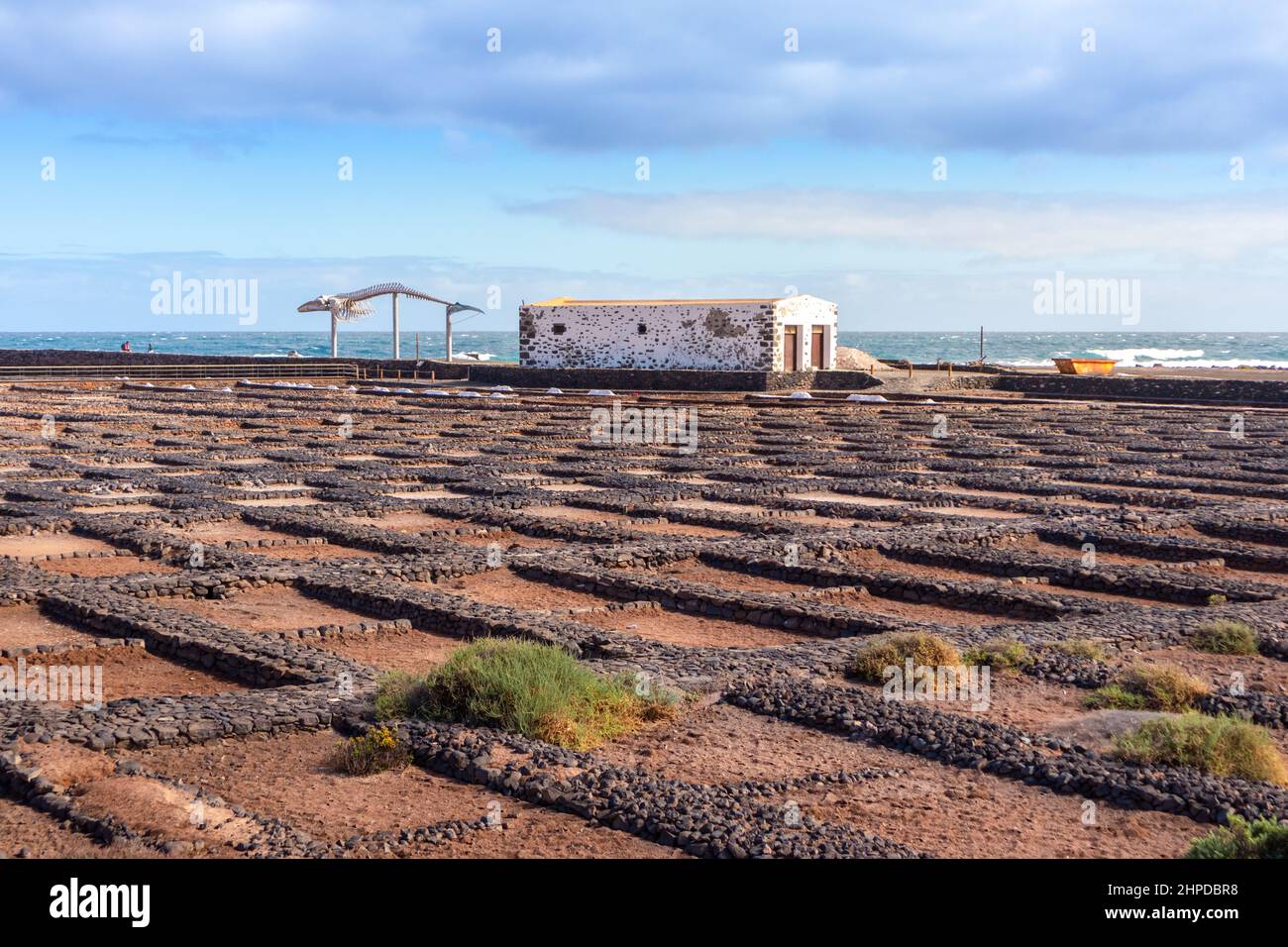 Salt flats 'Salinas del Carmen' in Fuerteventura, Canary Islands, Spain Stock Photo