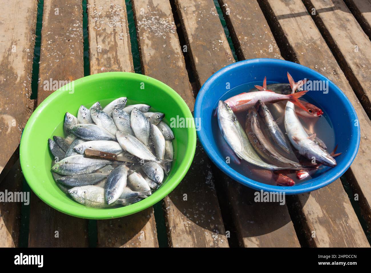 Buckets of fresh fish catch on Pontao Santa Maria fishing wharf, Praia Santa Maria, Santa Maria, Sal, República de Cabo (Cape Verde) Stock Photo
