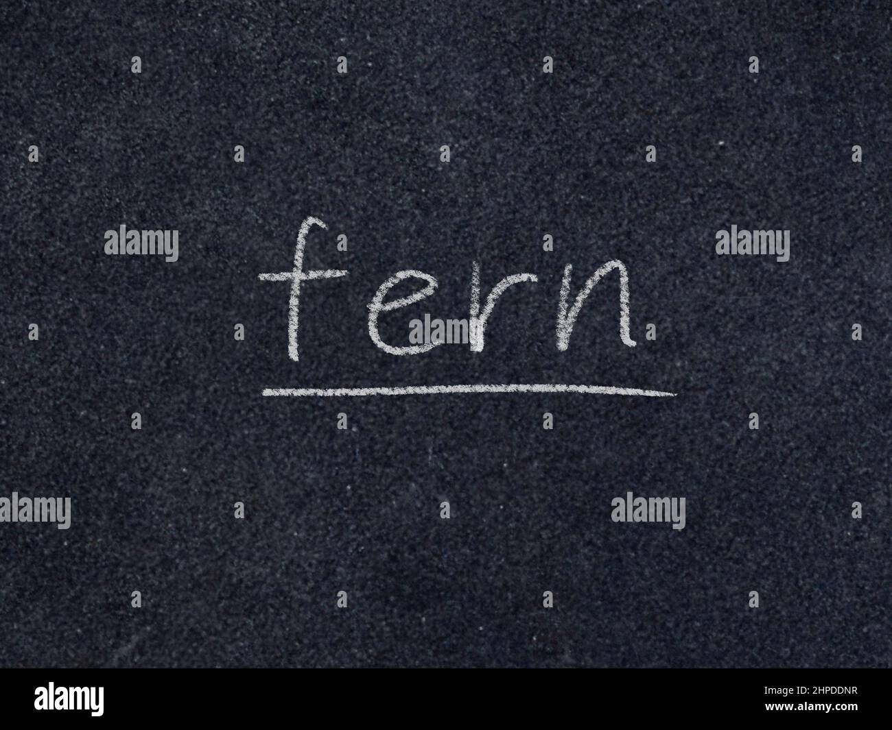 fern concept word on blackboard background Stock Photo