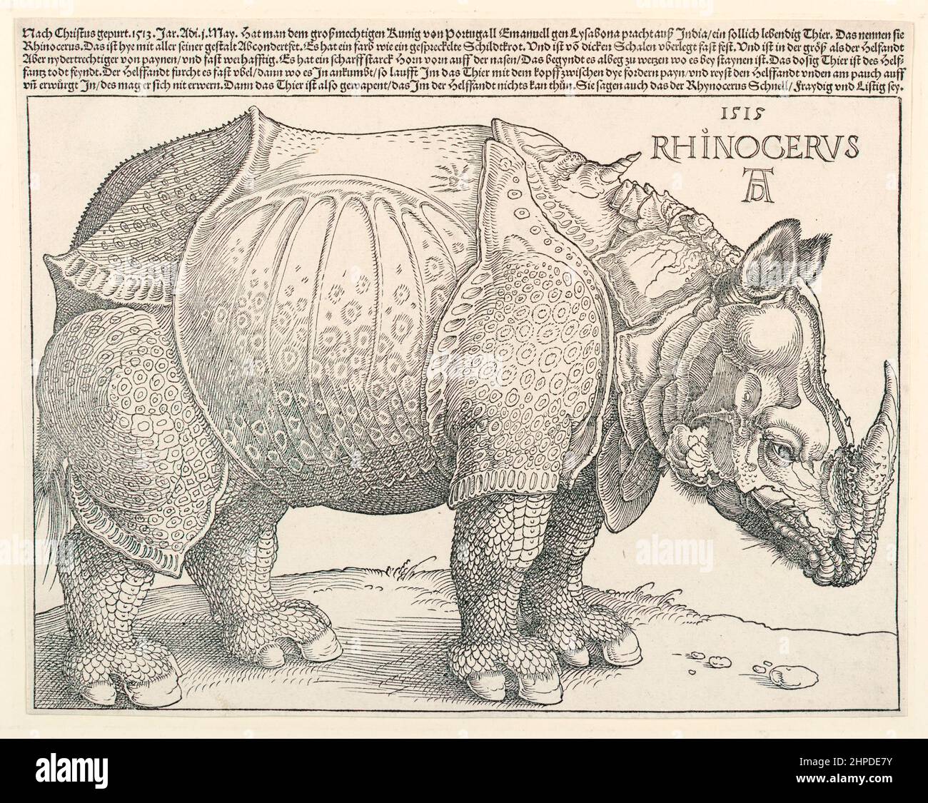 Dürer's Rhinoceros 1515 engraving of an Indian Rhino that visited Lisbon in 1513 by Alberto Dürer (1471-1528). Stock Photo