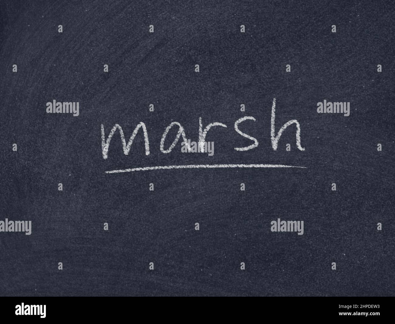 marsh concept word on blackboard background Stock Photo