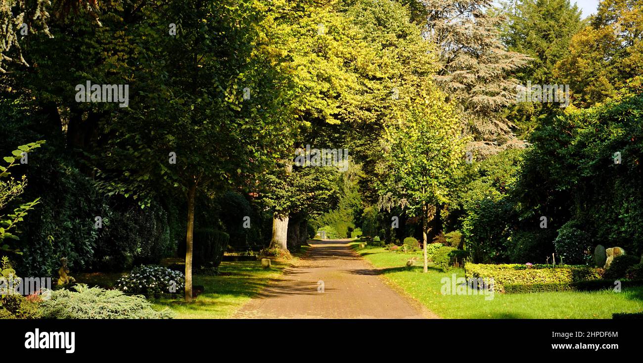 Cemetery, Graveyard, Churchyard in Germany: Cemetery of the Gruga with beautiful old trees and a central alley Stock Photo