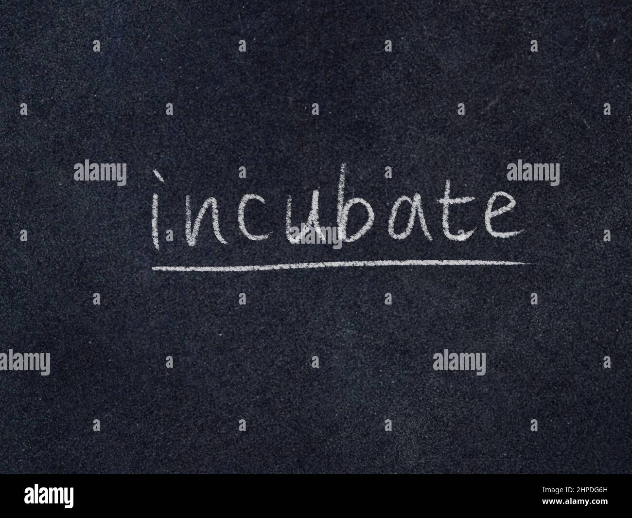 incubate concept word on blackboard background Stock Photo