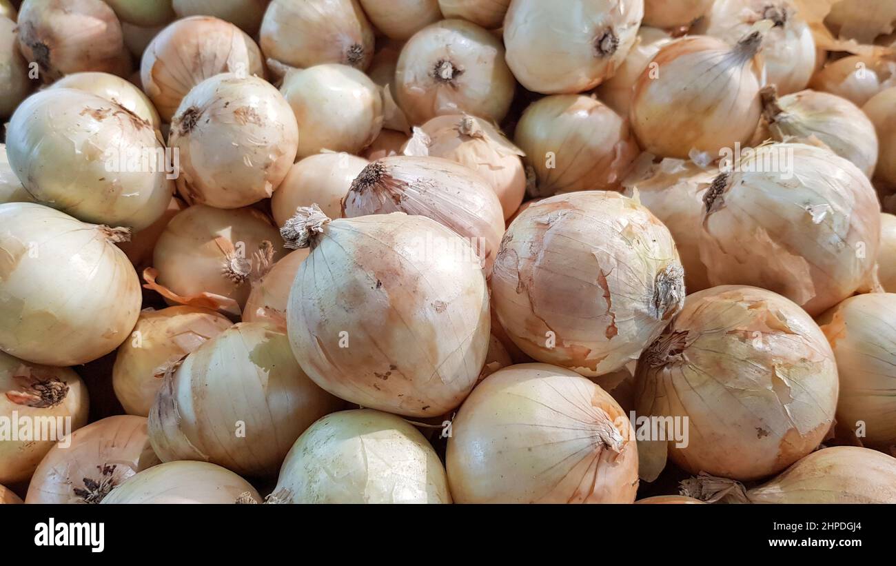 A large number of onions are placed on shelves for sale in a department store in Thailand. Stock Photo