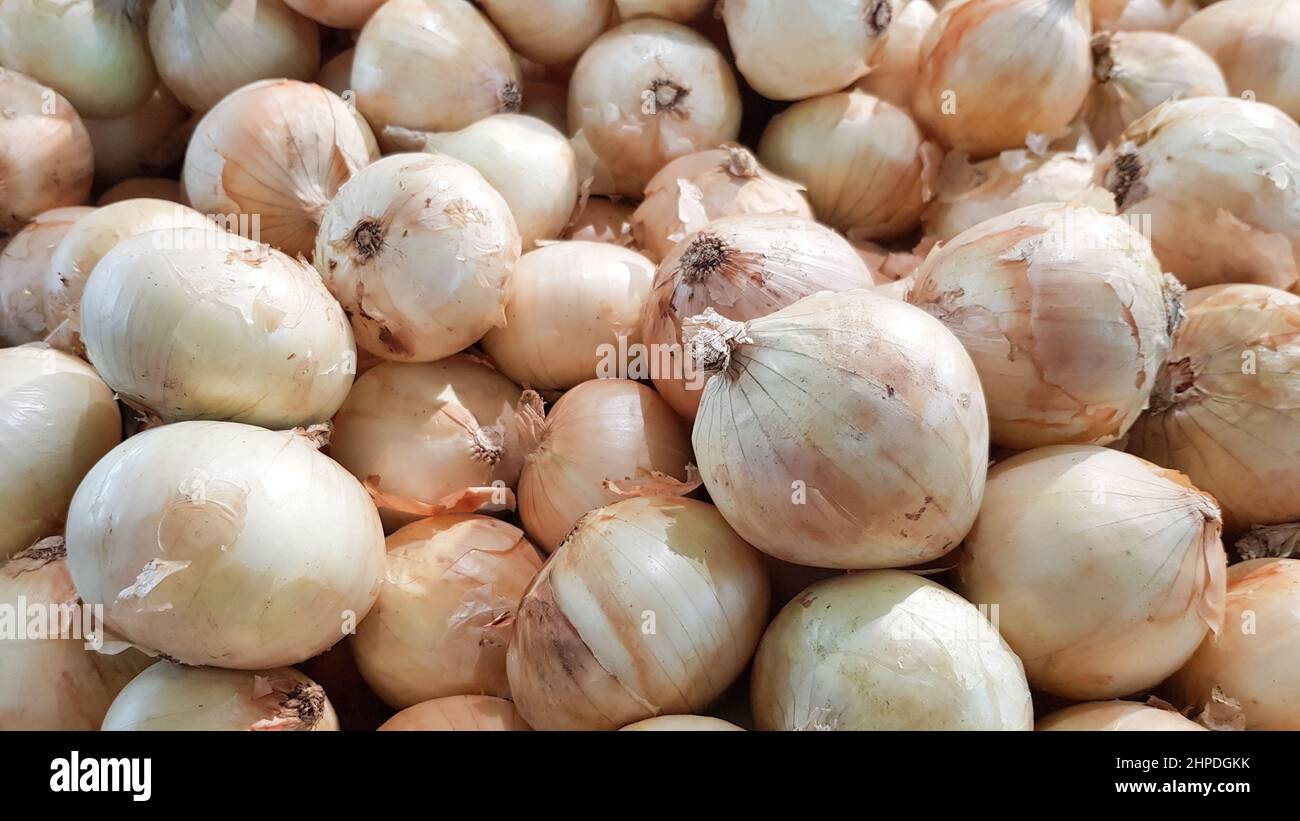 A large number of onions are placed on shelves for sale in a department store in Thailand. Stock Photo