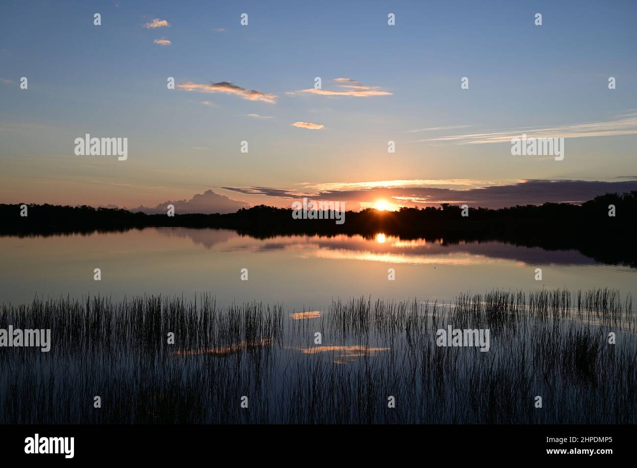 Sunrise cloudscape reflected in tranquil water of Nine Mile Pond in Everglades National Park, Florida. Stock Photo
