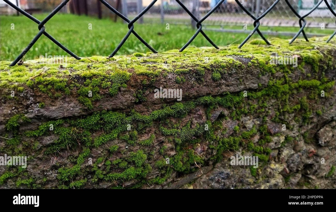 Seamless texture metal mesh fence hi-res stock photography and images ...