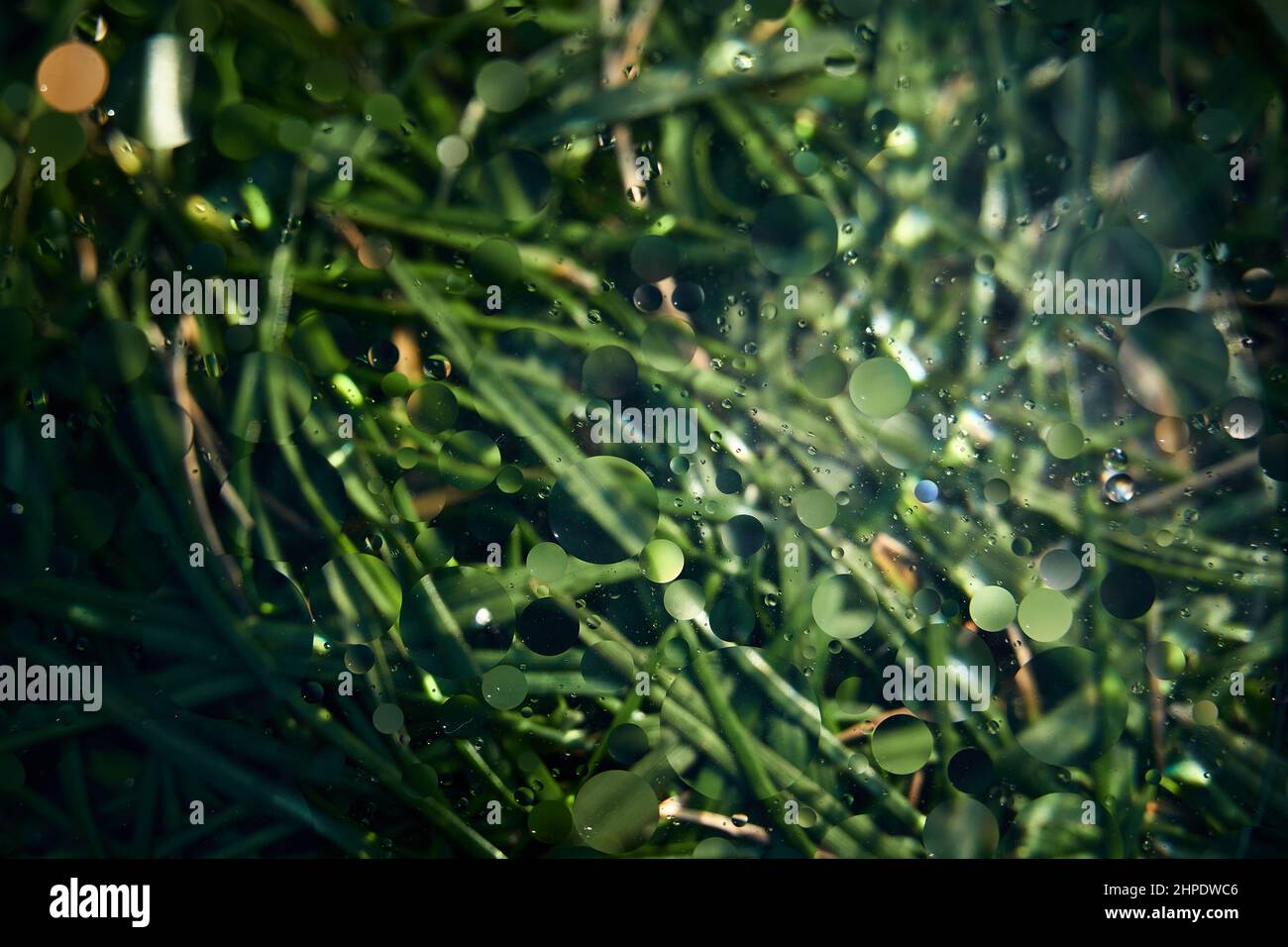 Beautiful background of water drops on a glass Stock Photo - Alamy