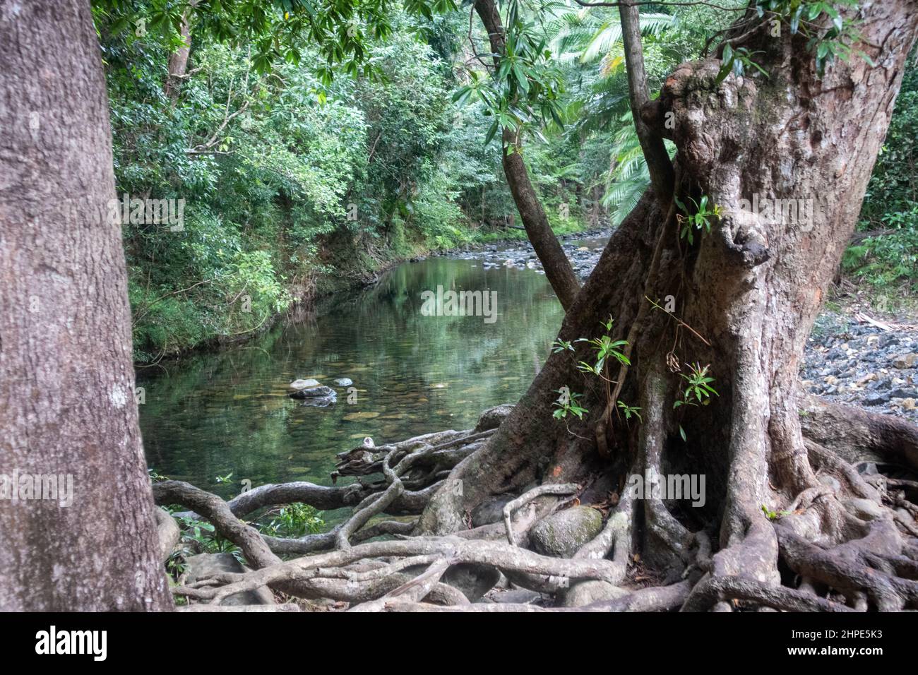 Australian road with car hi-res stock photography and images - Alamy