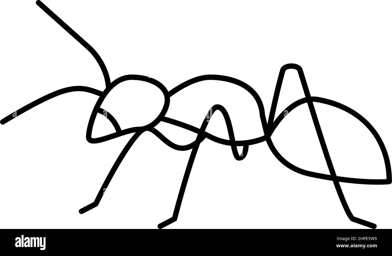 beetle insect line icon vector illustration Stock Vector Image & Art ...