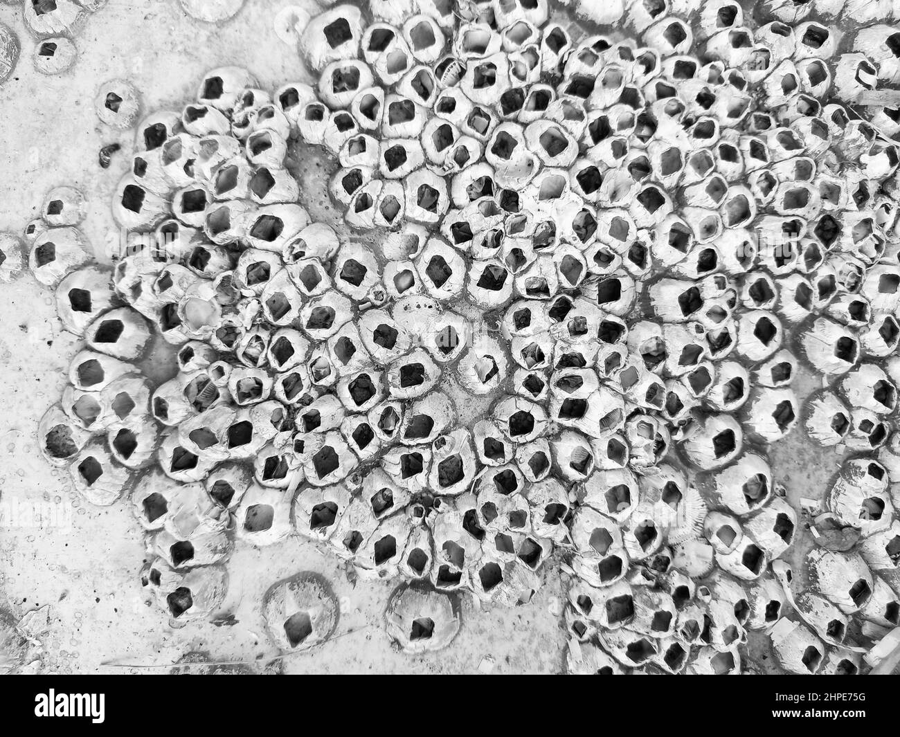 Sand water patterns Black and White Stock Photos & Images - Alamy