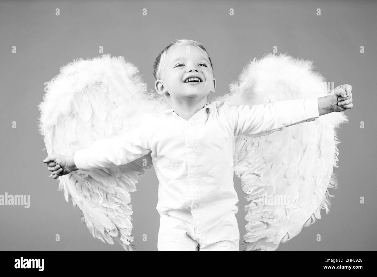 Excited angel little boy with white wings. Happy angelic children boy laughing. Cute kid with white wings. Adorable child cupid isolated on red Stock Photo