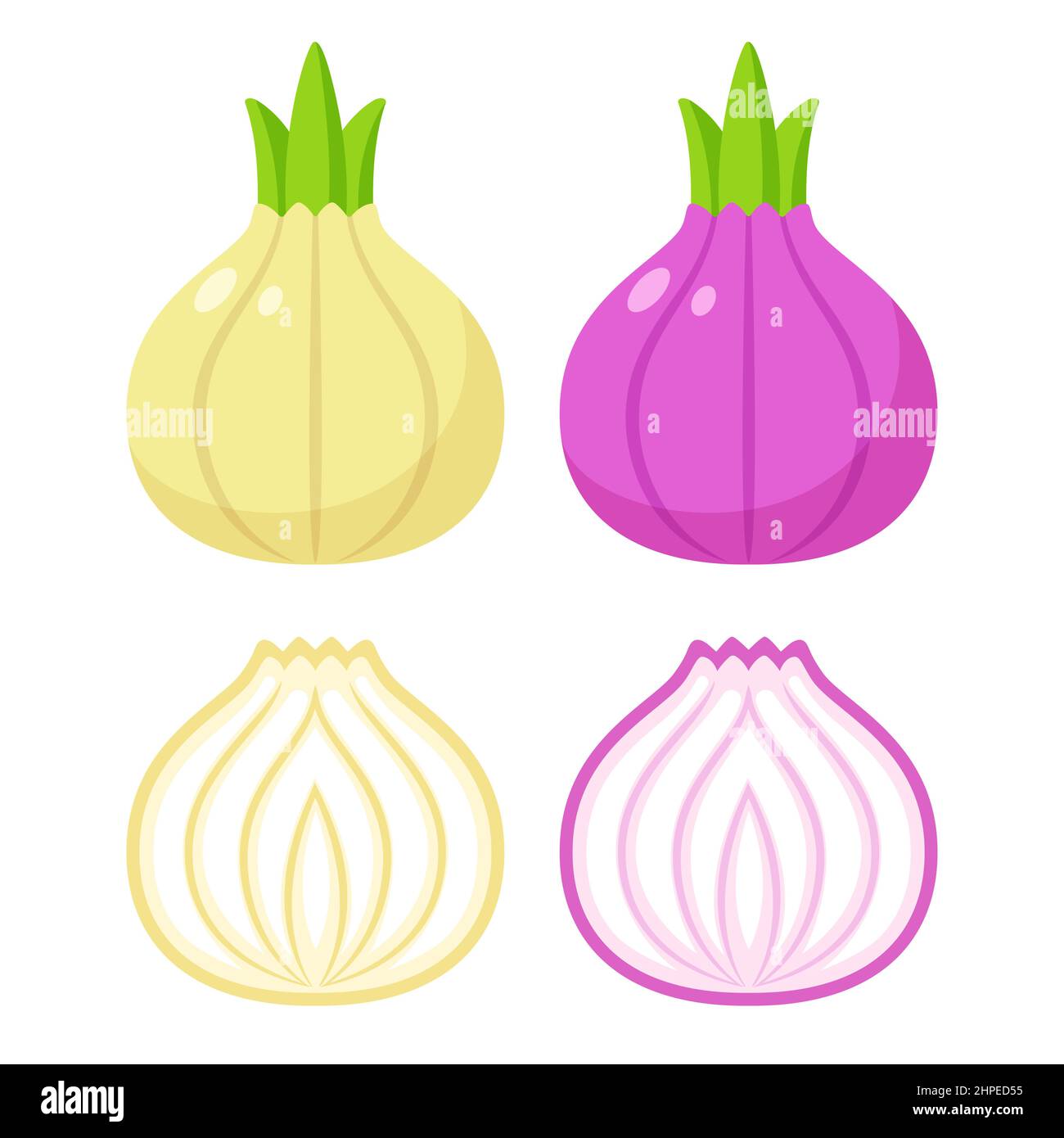 Cartoon white and red onion illustration set. Cute onion bulbs with cross section cut. Isolated vector clip art. Stock Vector