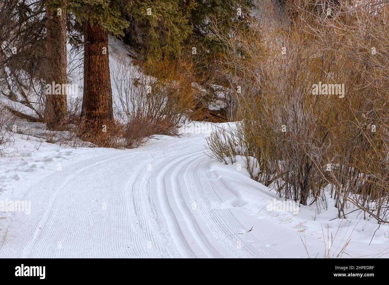 The Natural Beauty of Winter in Fraser, Colorado. Fraser River Trail