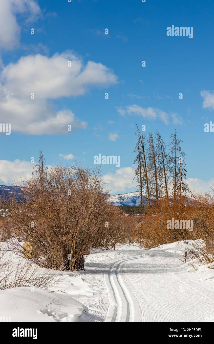 The Natural Beauty of Winter in Fraser, Colorado. Fraser River Trail