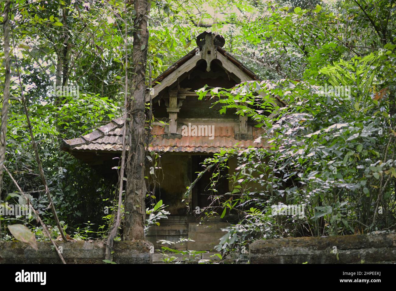 Abandoned wooden house in a forest Stock Photo - Alamy