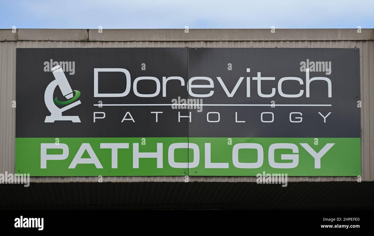 Dorevitch pathology hi res stock photography and images   Alamy