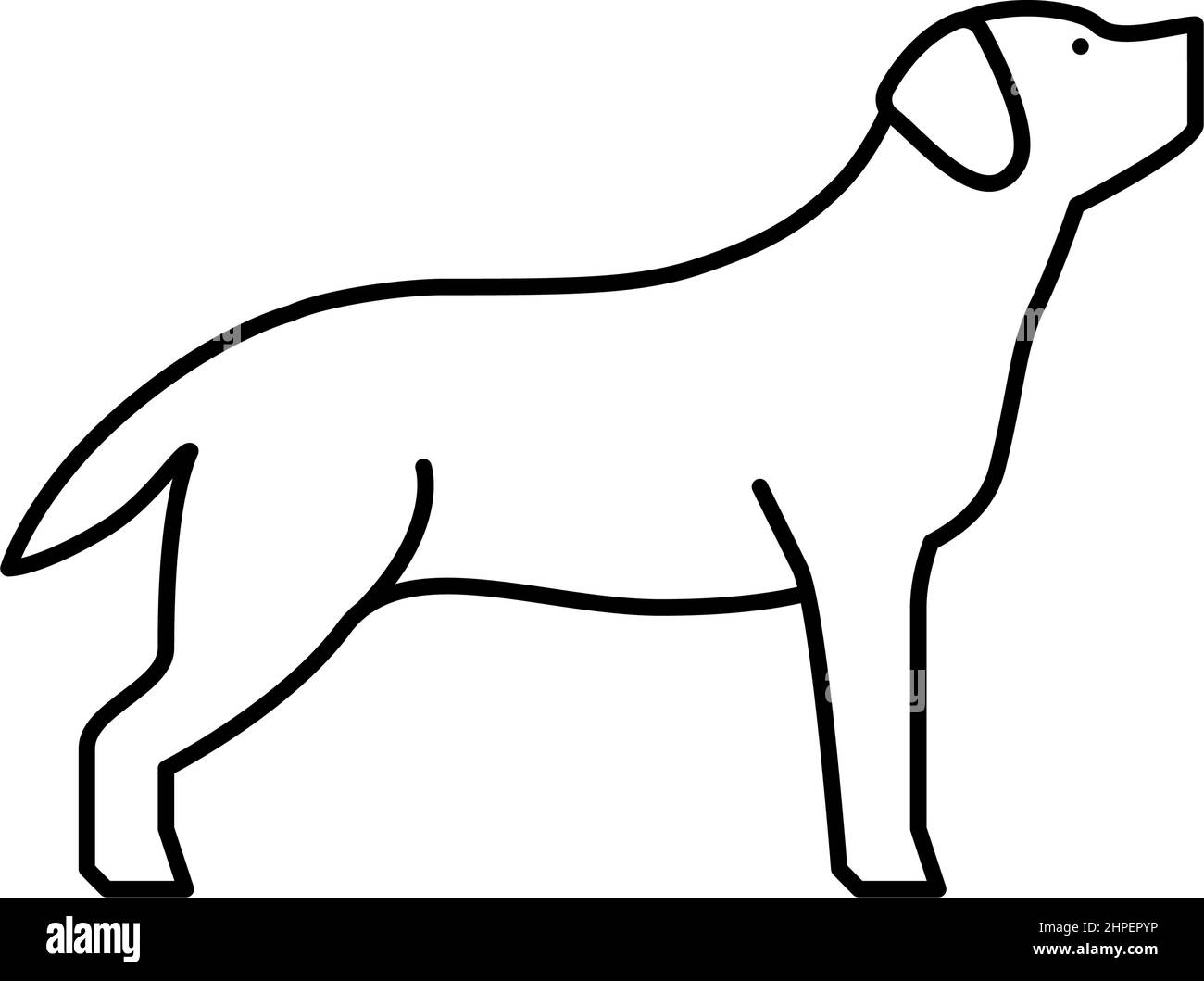 labrador retriever dog line icon vector illustration Stock Vector Image