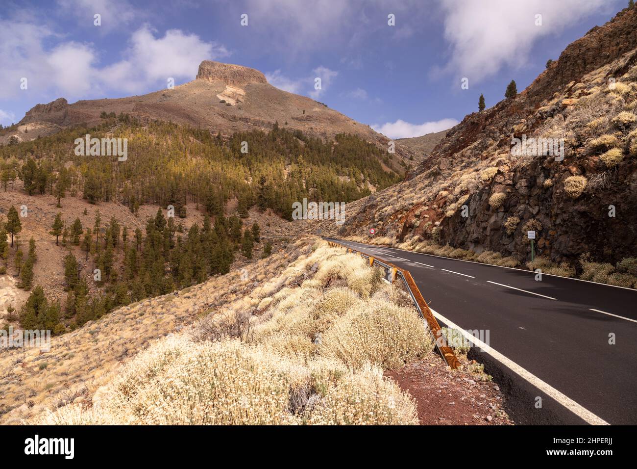 Road through the Teide National Park, Tenerife, Canary Islands Stock Photo
