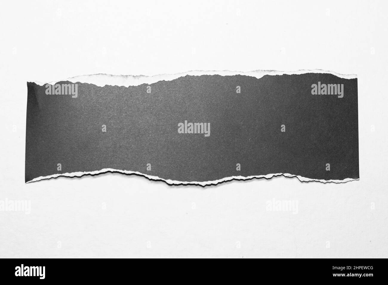 Paper tear, ripped paper edge, torn edge, isolated paper tear white on