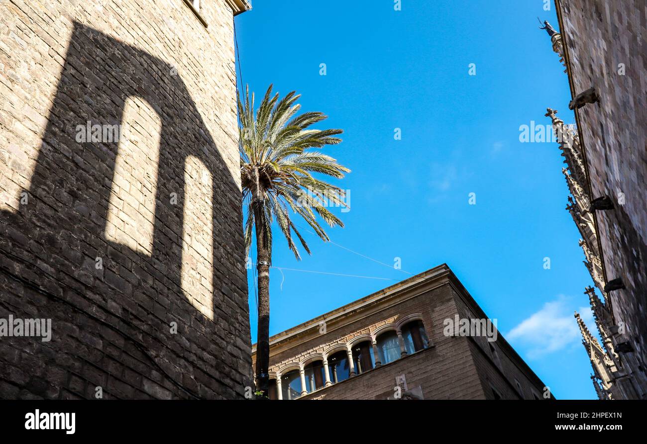 Urban Architecture with Palm Tree and Blue Sky in Barcelona City. Shadow of building during Sunny Day in Catalonia. Stock Photo