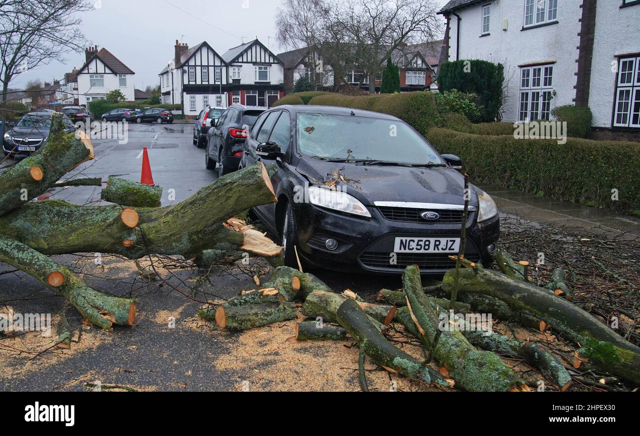 A car damaged by a fallen tree after high winds and wet weather in Liverpool as Britons have been warned to brace for strengthening winds and lashing rain as Storm Franklin moved in overnight, just days after Storm Eunice destroyed buildings and left 1.4 million homes without power. Picture date: Monday February 21, 2022. Stock Photo