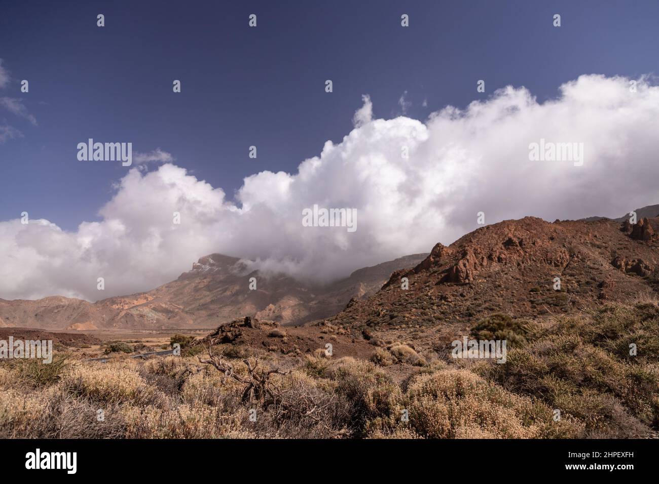 Volcanic landscape of the Teide National Park, Tenerife, Canary Islands Stock Photo