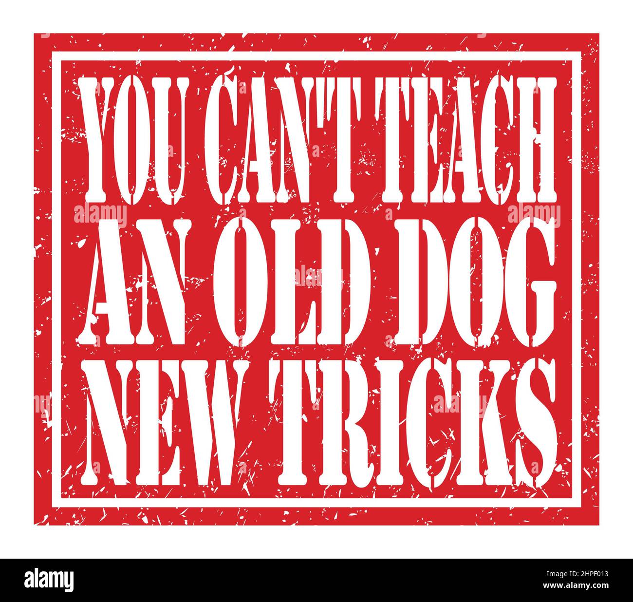 YOU CAN'T TEACH AN OLD DOG NEW TRICKS, words written on red stamp sign