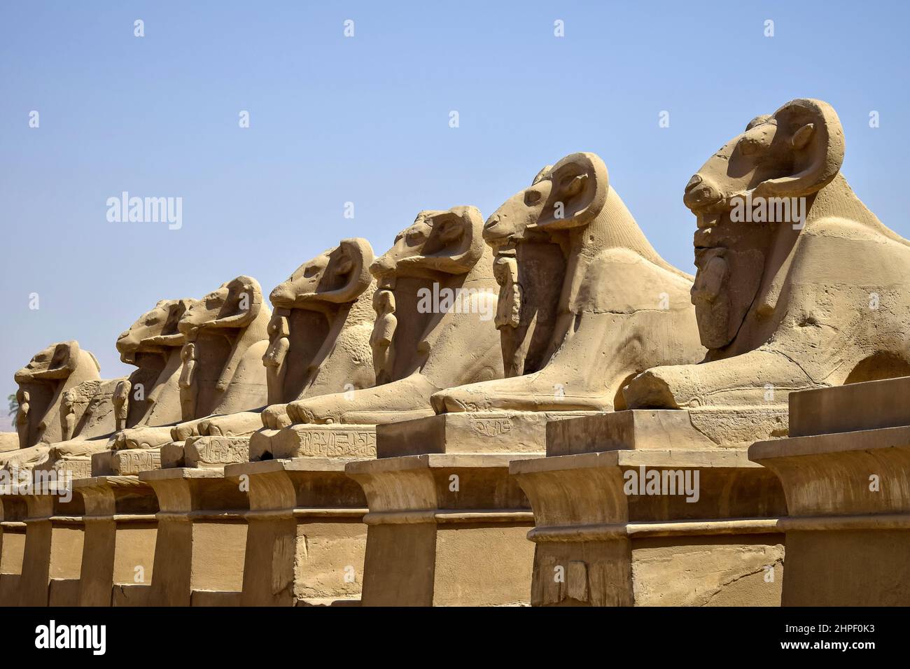 Small alley of sheep-headed sphinxes in front of Karnak Temple. Close-up. Famous Egyptian landmark with statues, hieroglyphics and decayed temples. Se Stock Photo