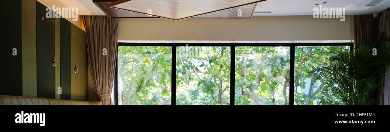 Clean black frame large window glass with green parasol tree leaves view background banner Stock Photo