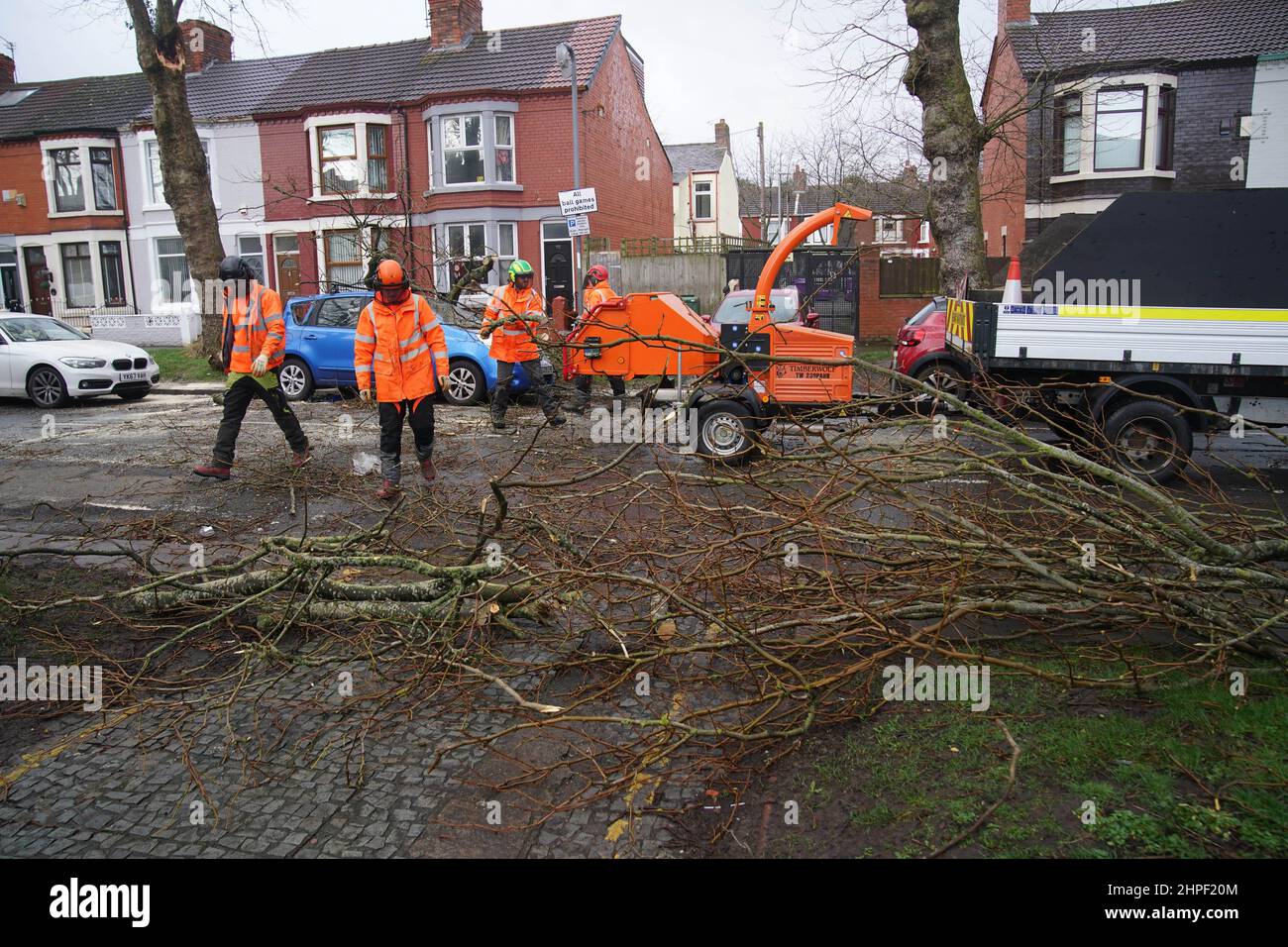 Tree surgeons clear away a fallen tree after high winds and wet weather in Liverpool as Britons have been warned to brace for strengthening winds and lashing rain as Storm Franklin moved in overnight, just days after Storm Eunice destroyed buildings and left 1.4 million homes without power. Picture date: Monday February 21, 2022. Stock Photo