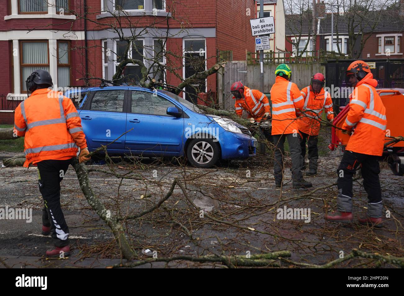 Tree surgeons clear away a fallen tree after high winds and wet weather in Liverpool as Britons have been warned to brace for strengthening winds and lashing rain as Storm Franklin moved in overnight, just days after Storm Eunice destroyed buildings and left 1.4 million homes without power. Picture date: Monday February 21, 2022. Stock Photo