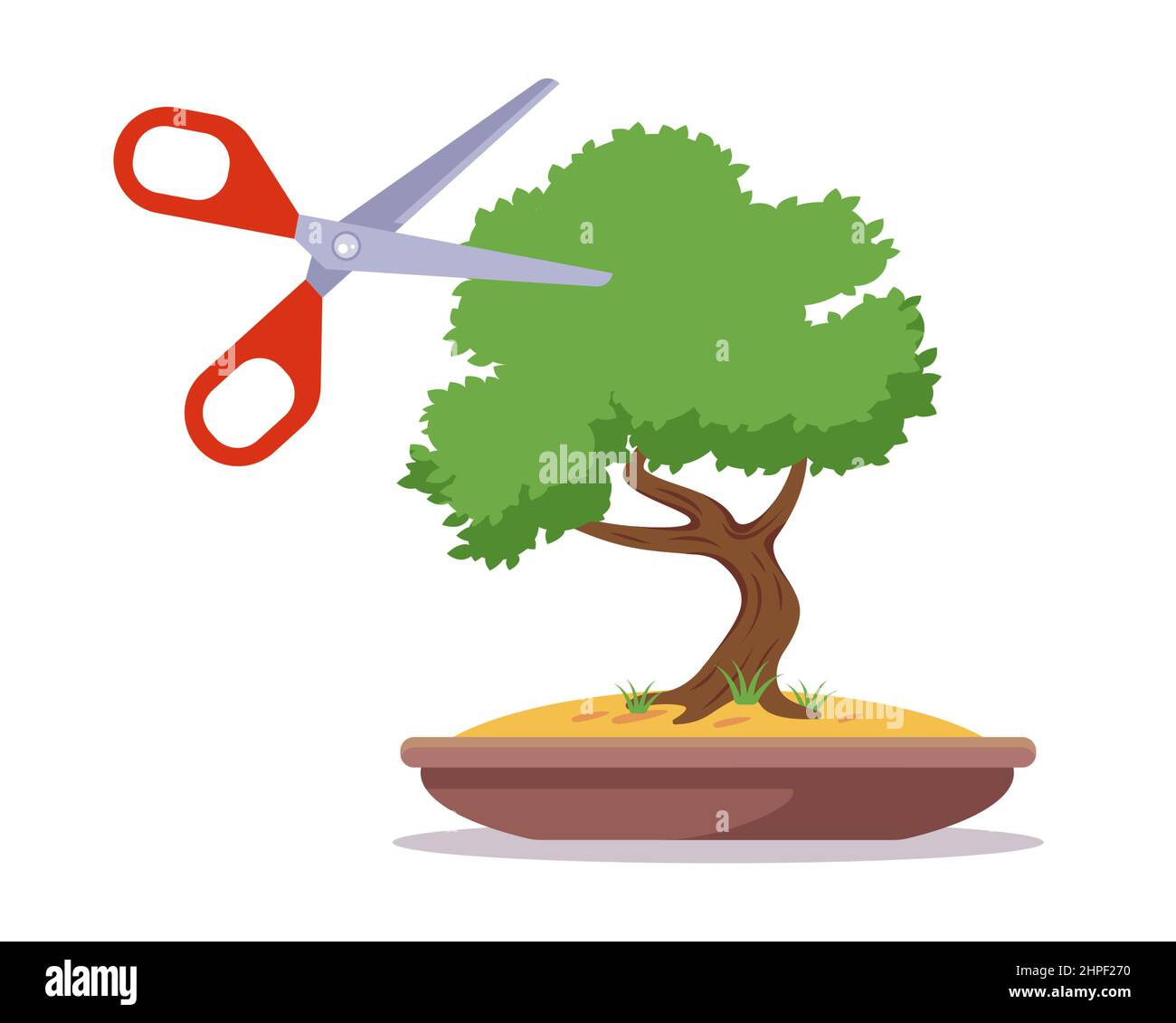 japanese bonsai tree in a pot. ancient Asian art. trim foliage with